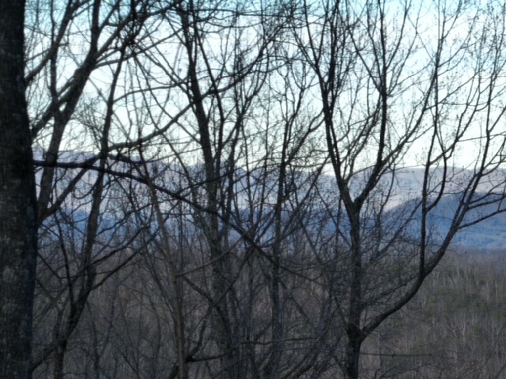 Picture 12