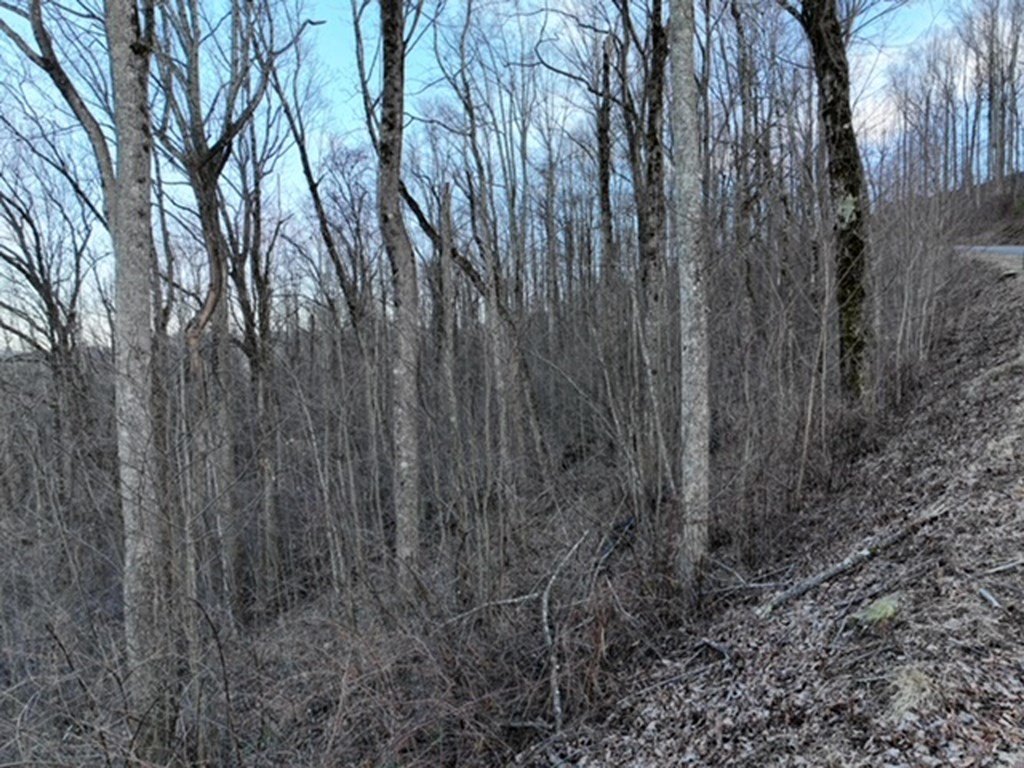 Picture 30