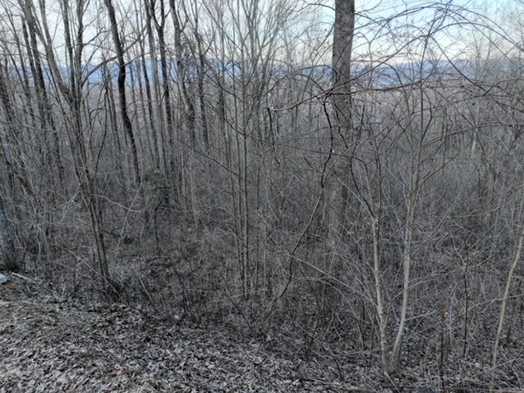 Picture 33