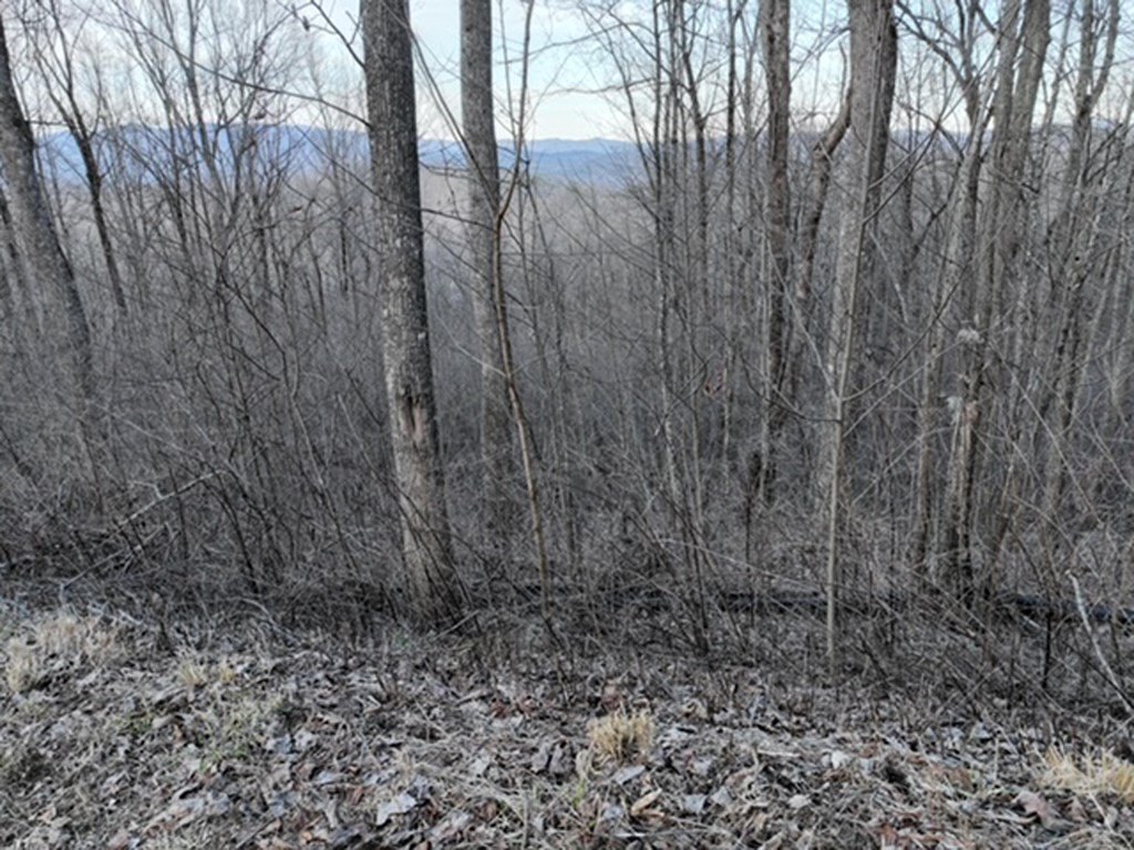 Picture 36