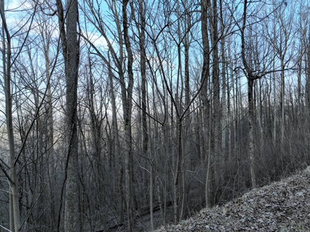 Picture 7