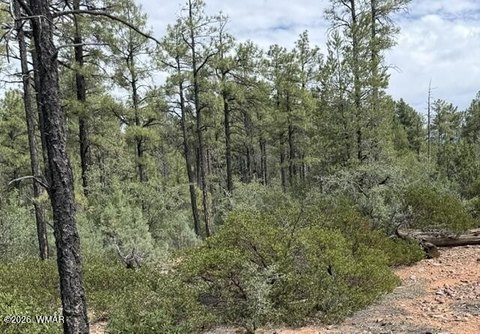 LAND - Show Low, AZ