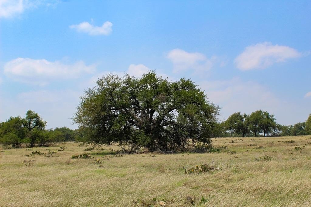 Land in Harper, Texas
