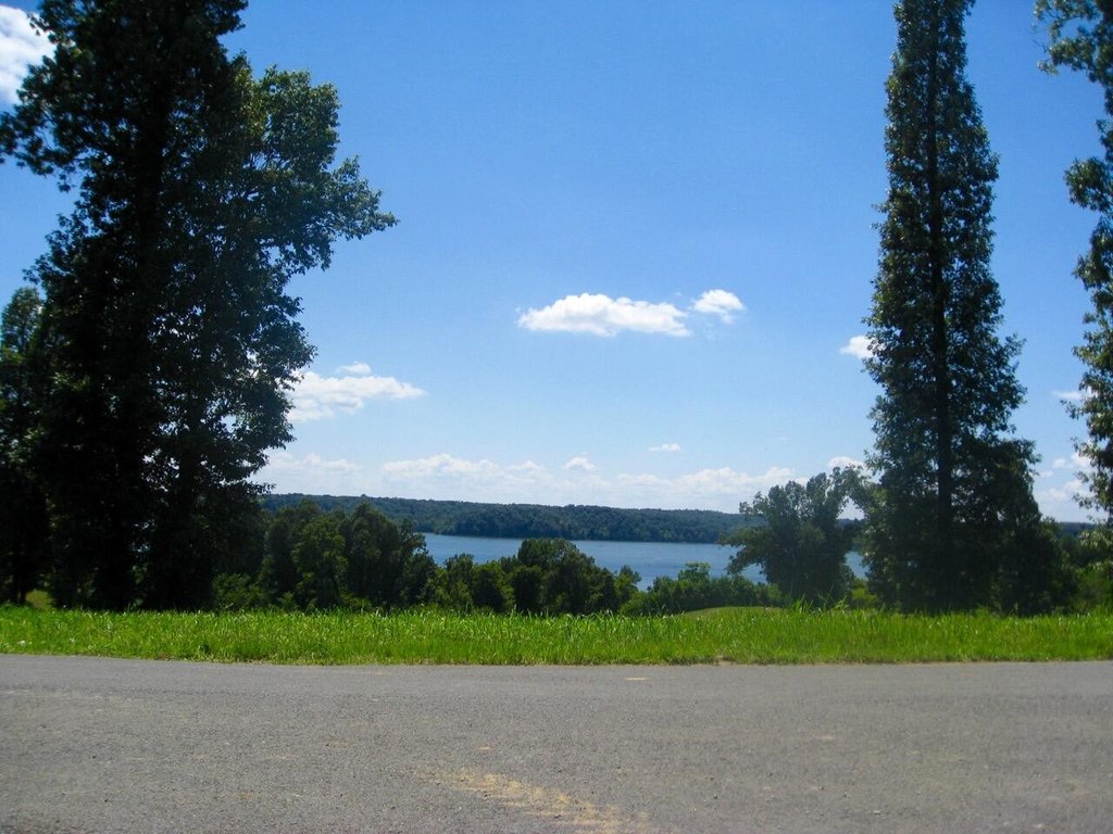 Picture 4