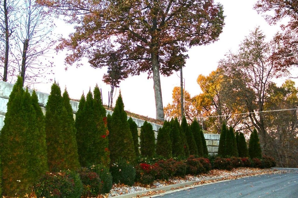 Picture 6