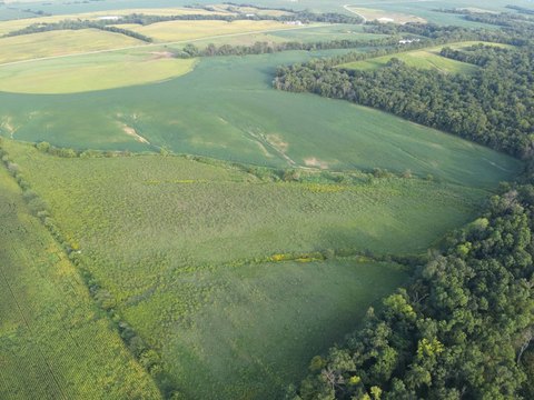 Timbered Agricultural Land