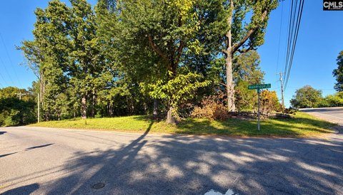 LOTS AND ACREAGE, Columbia, SC
