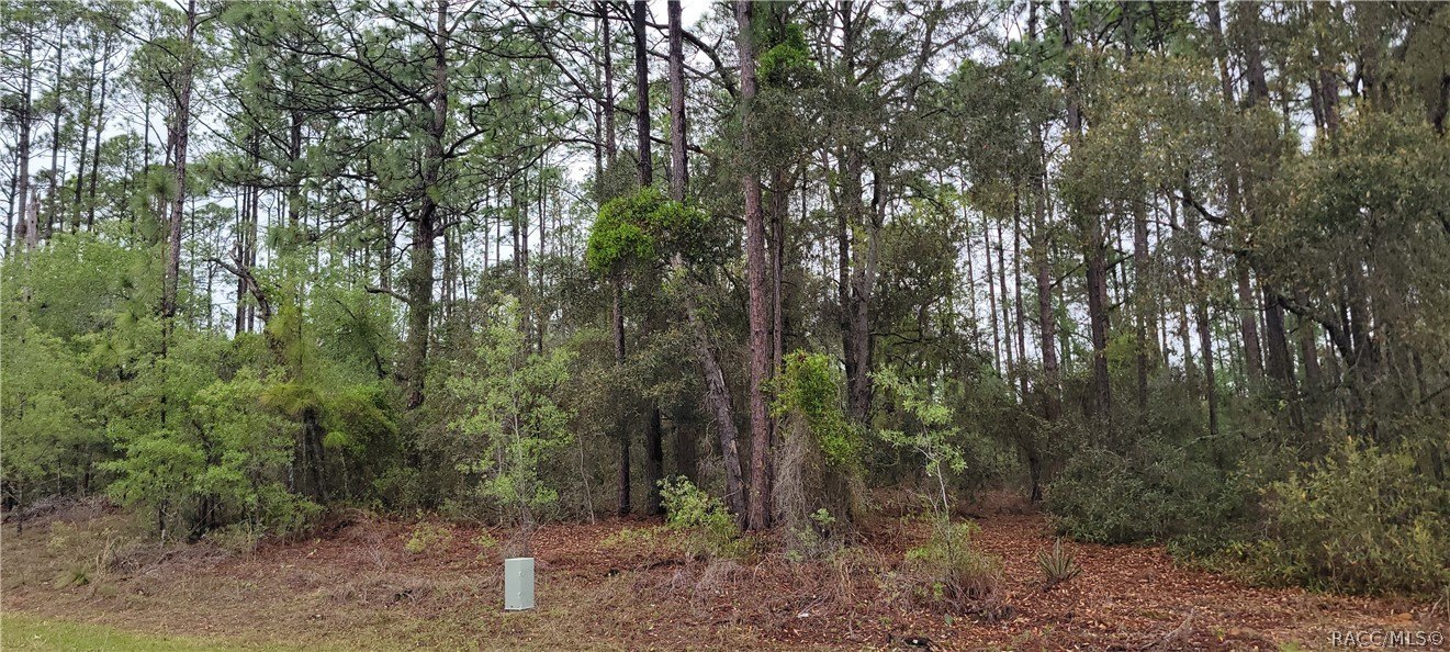 Homesite in Citrus Springs