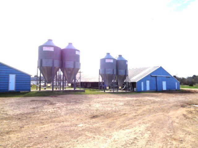 Picture 5