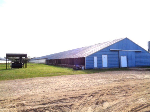Picture 4