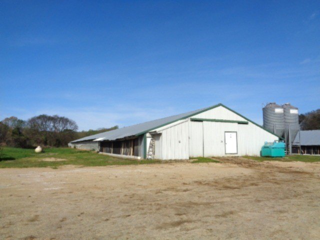Picture 13