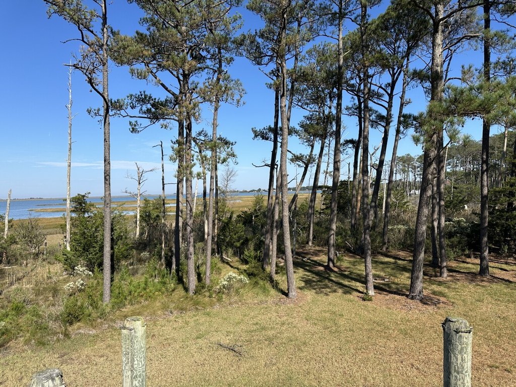 Picture 23