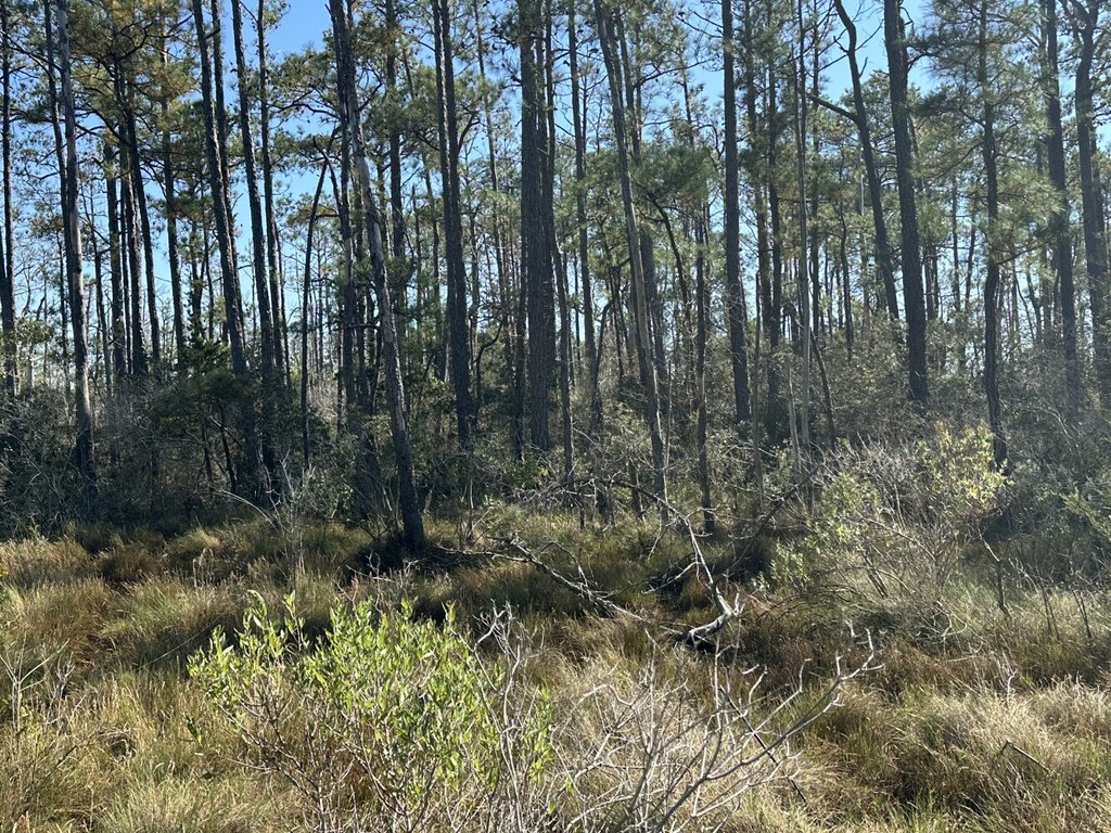 Picture 32
