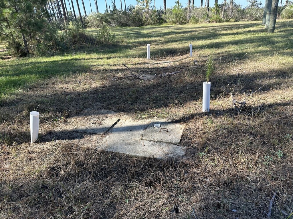 Picture 6