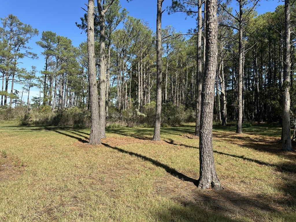 Picture 28