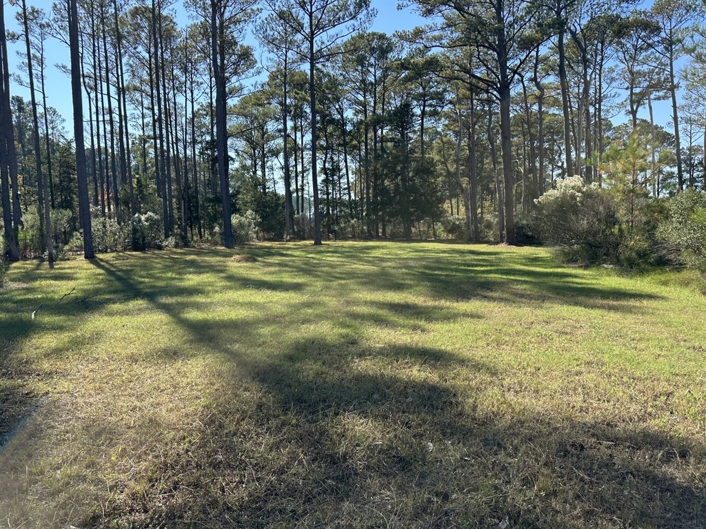 Picture 10
