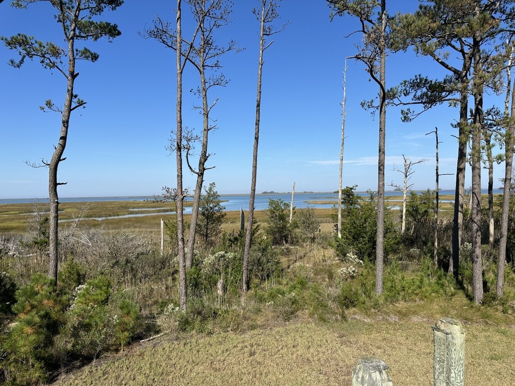 Picture 19