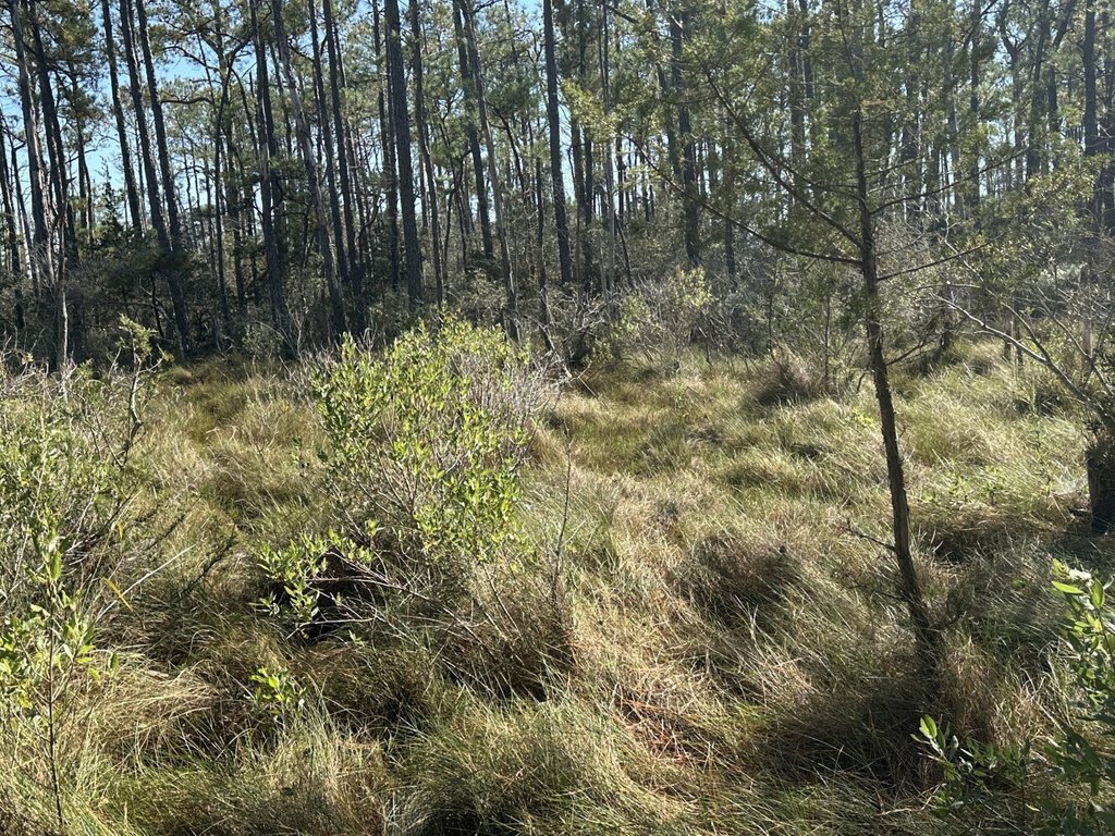 Picture 30