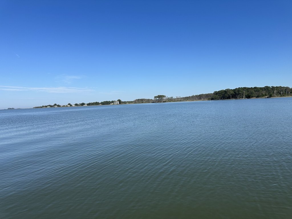 Picture 41