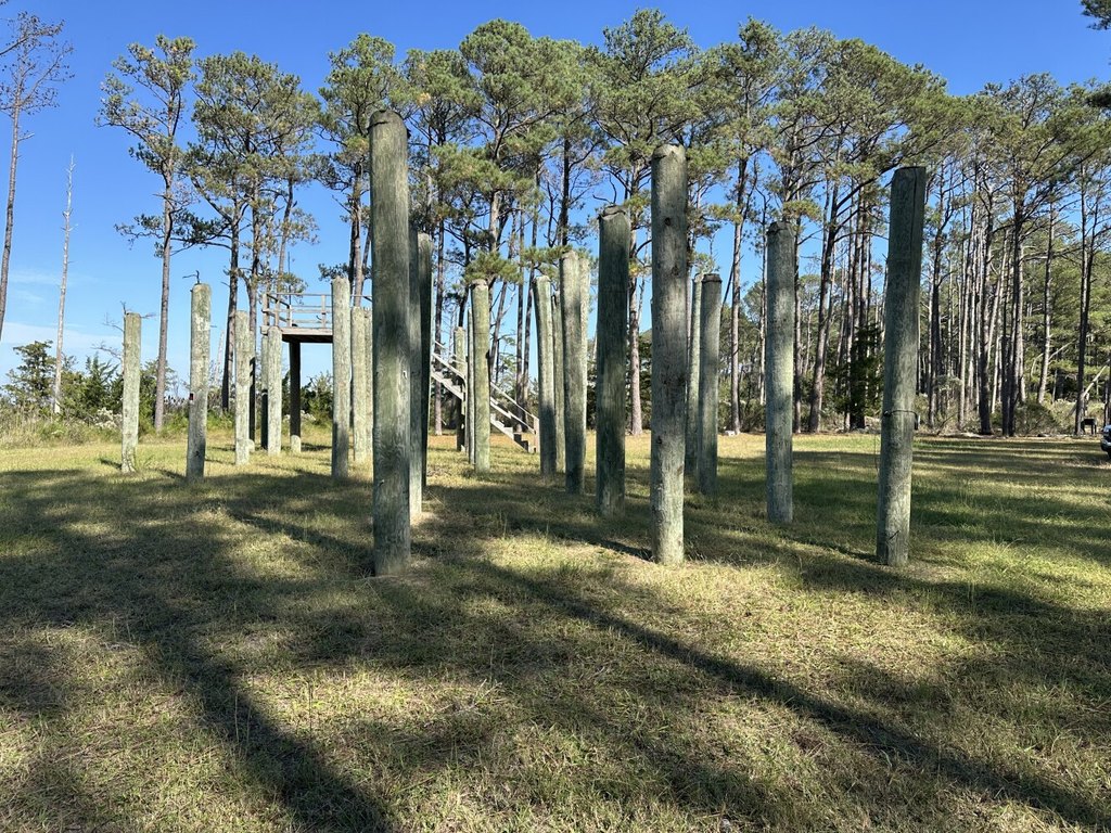 Picture 14