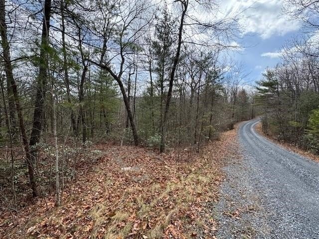 Wooded Building Lot in Hinton