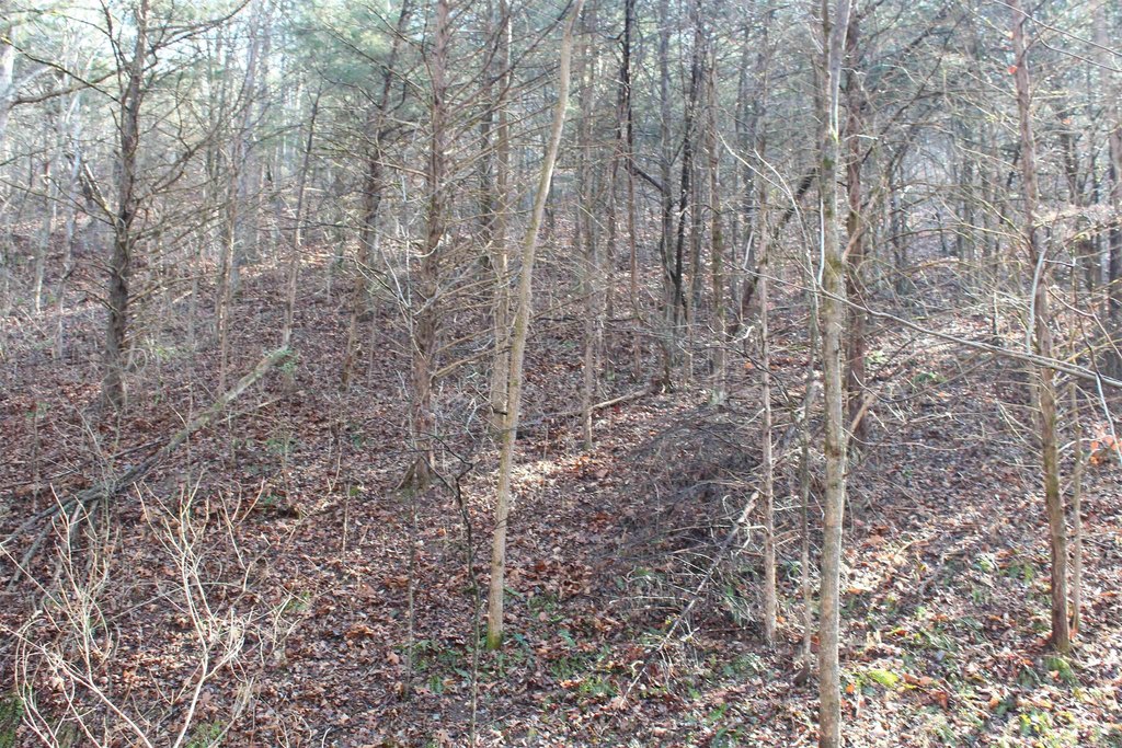 Picture 40