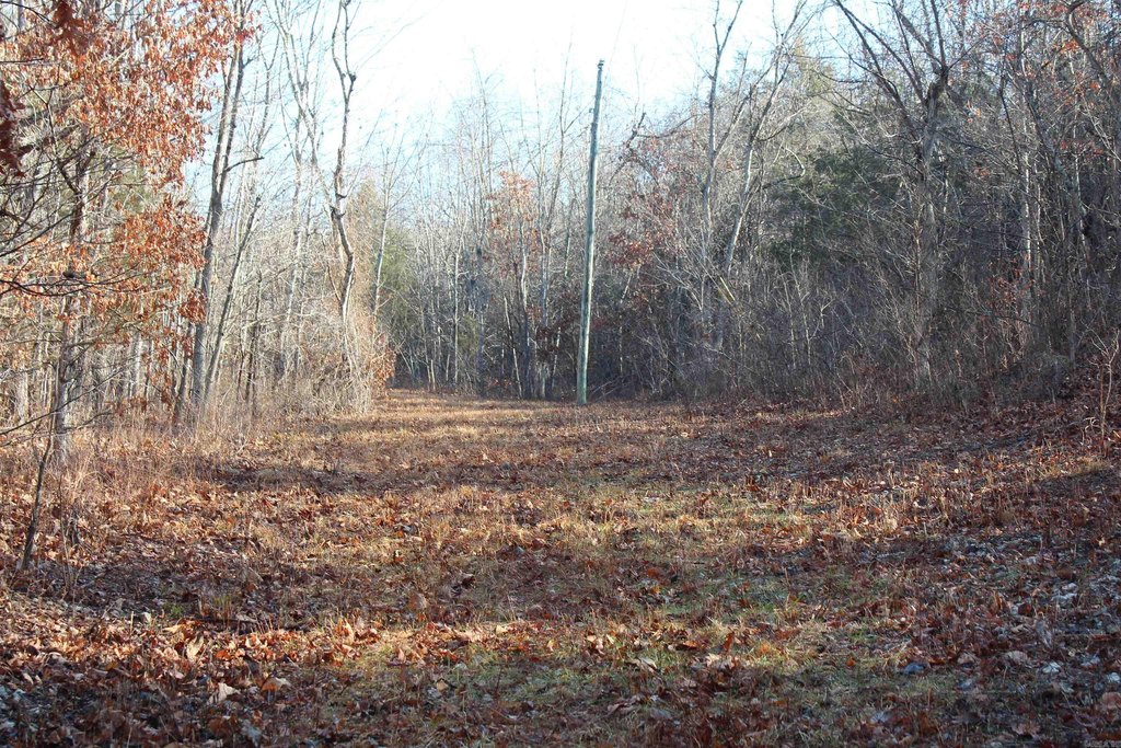 Picture 20