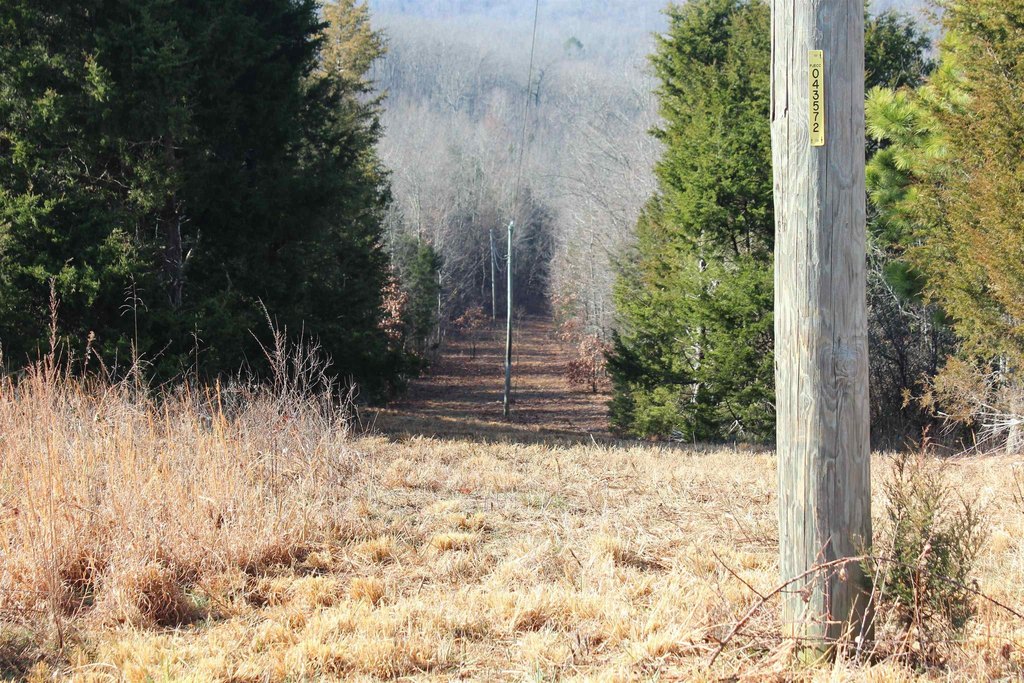Picture 14