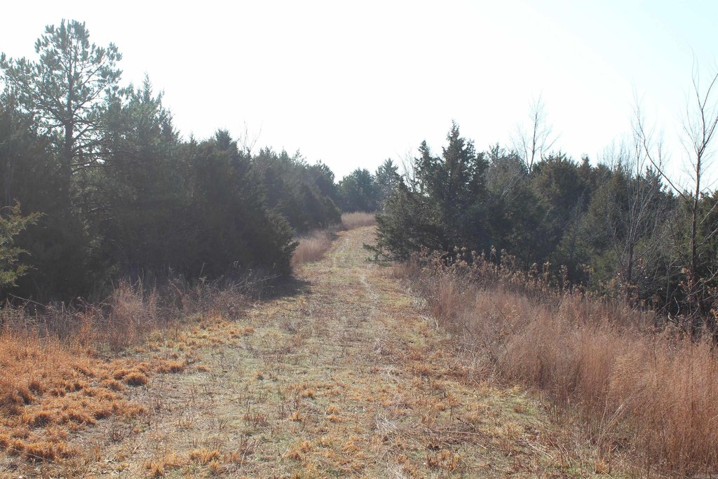 Picture 25
