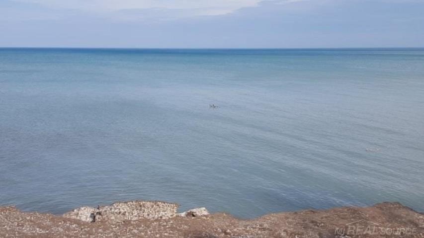Picture 7