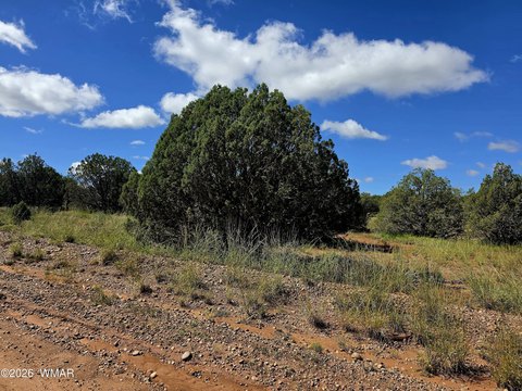 Land, Snowflake, AZ