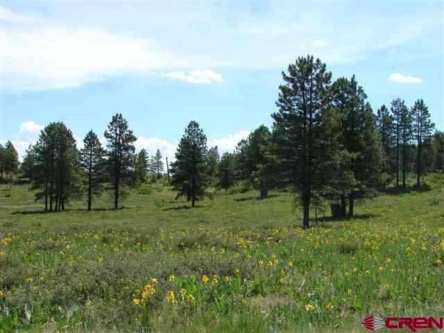 Picture 3