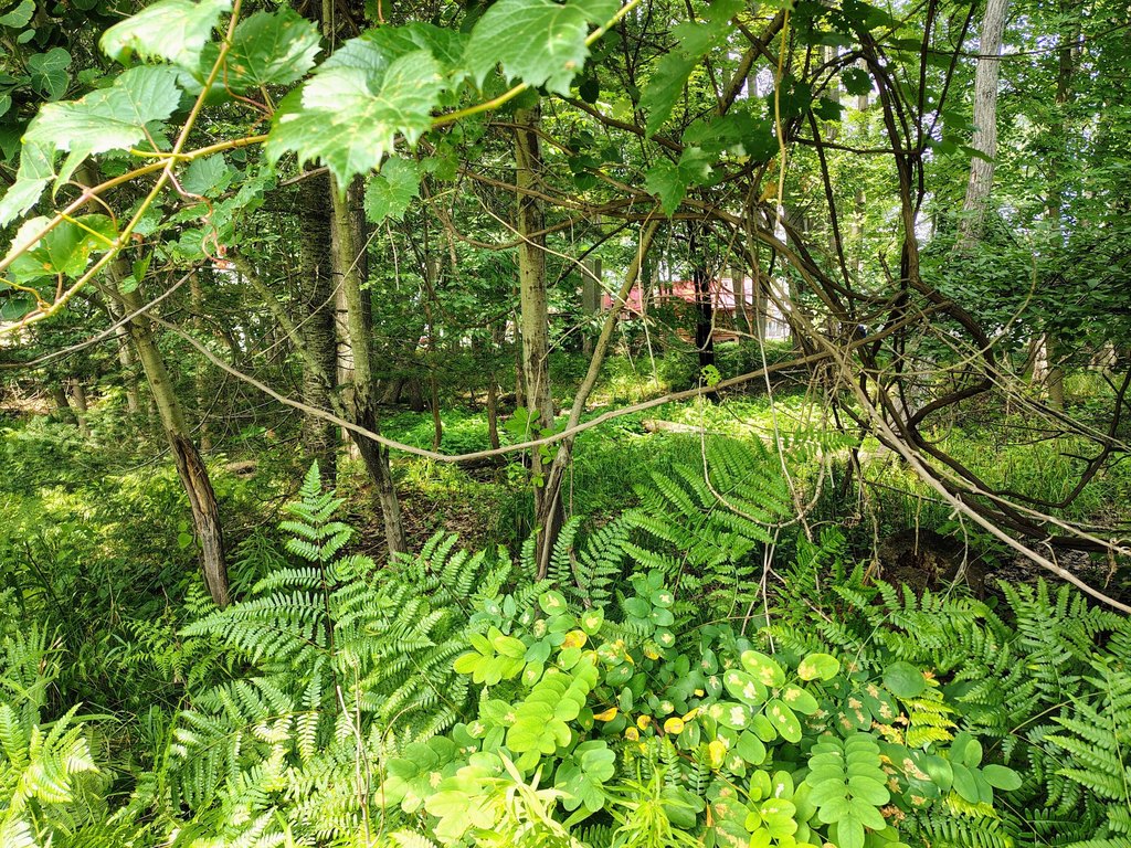 Picture 7