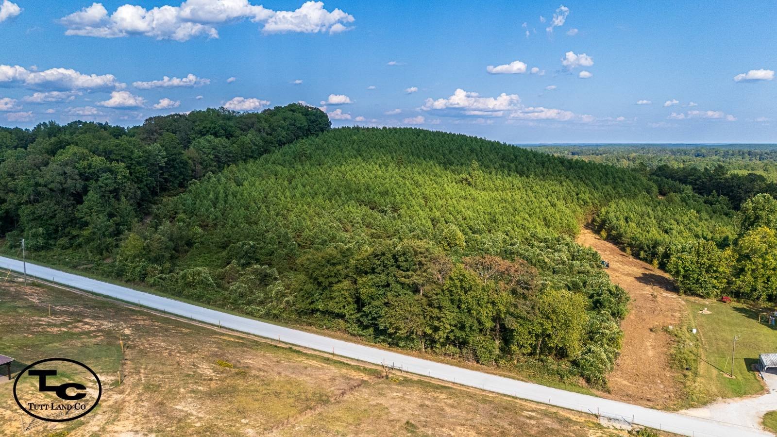 Enville, TN Vacant Land