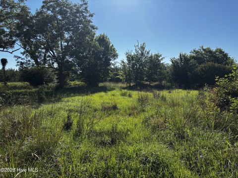 LAND - Wrightsville, GA