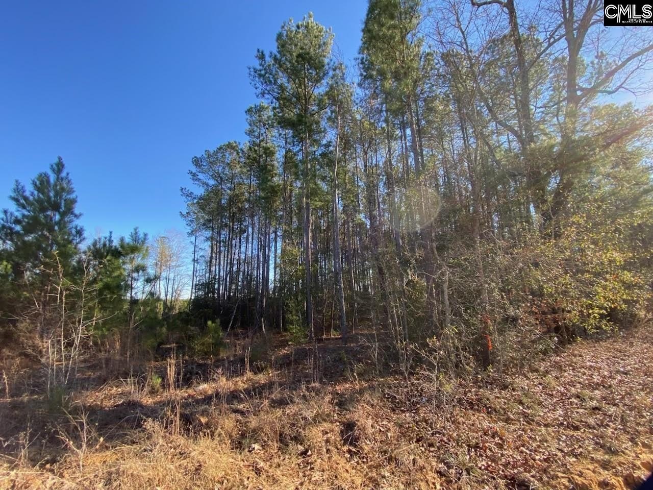 Land in Growing North, SC