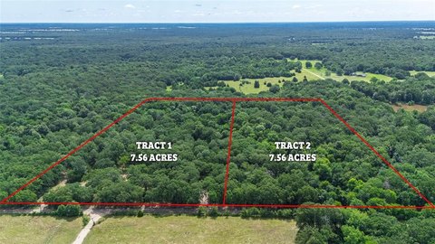 7.56 Acres of Wooded Land