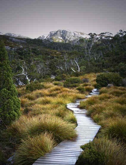 Picture 37