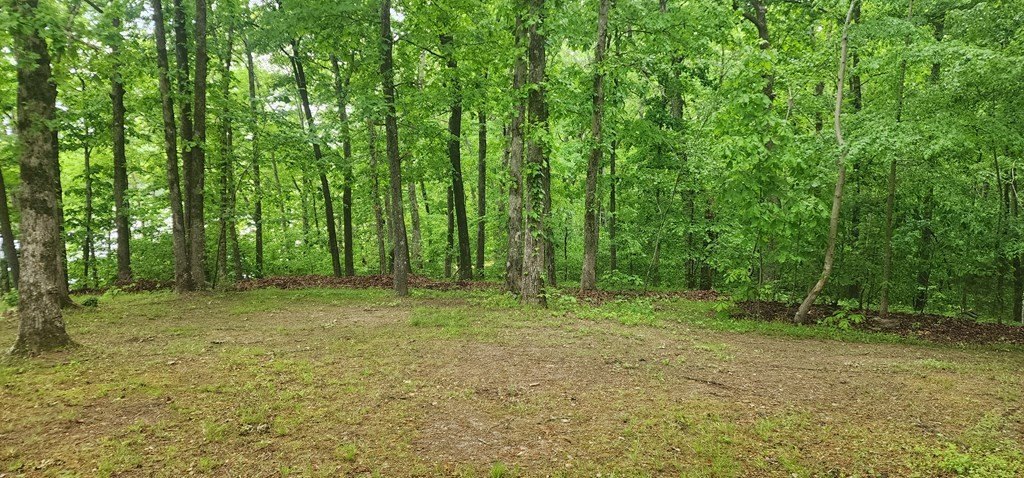 Picture 13