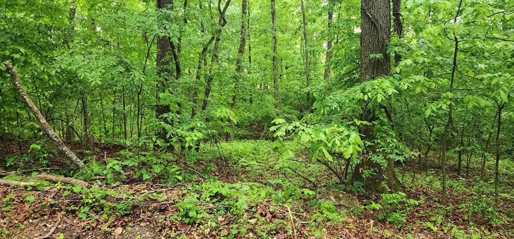 Picture 17
