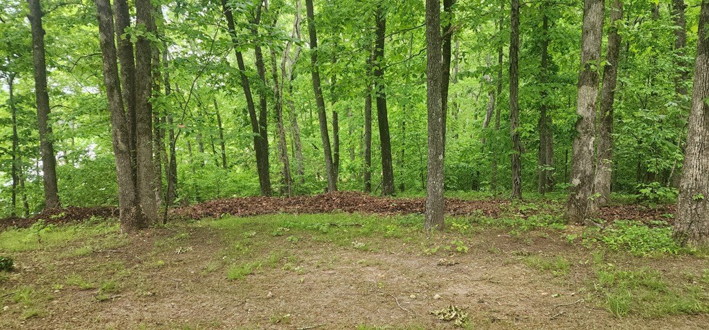 Picture 12