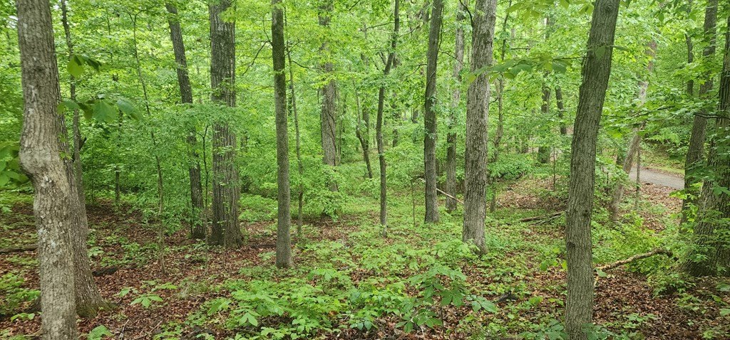 Picture 2