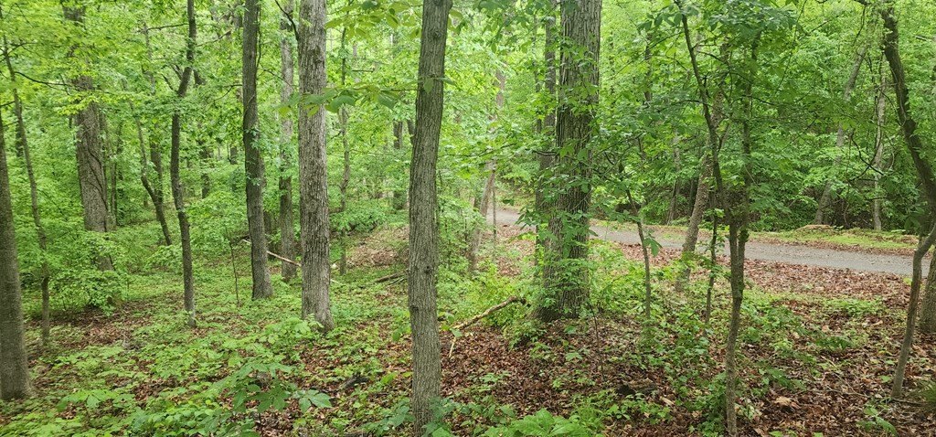 Picture 3