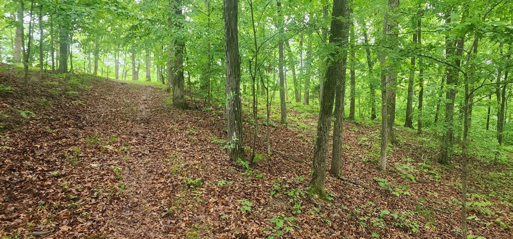 Picture 6