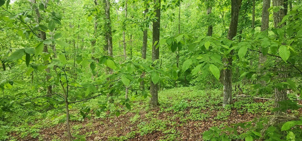Picture 11