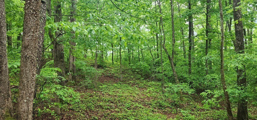 Picture 16