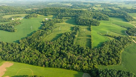 67 Acres Near Menomonie, WI