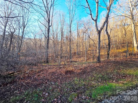 Waynesville Land Below Tax Appraisal