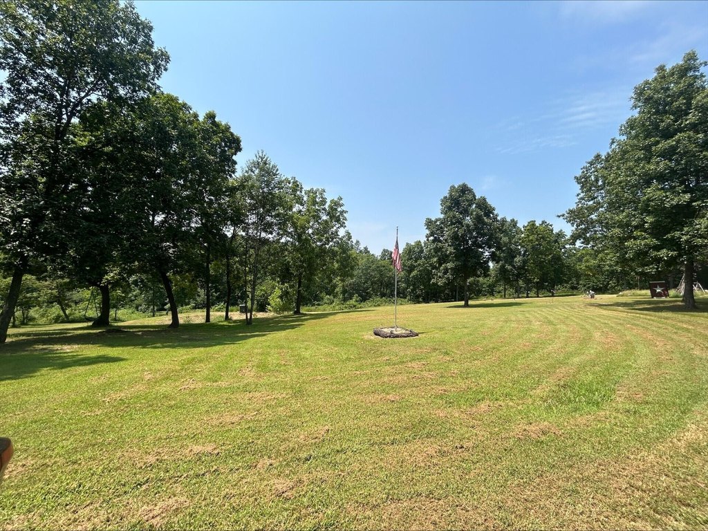 Picture 10