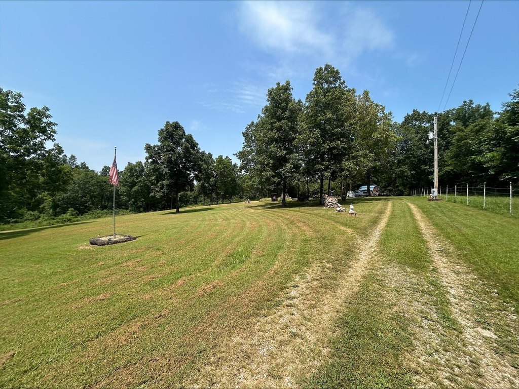 Picture 15